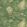 Mulberry Woodland Wallpaper by Mulberry Home Spring