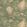 Mulberry Woodland Wallpaper by Mulberry Home Sunrise