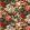 Floral Pompadour Fabric by Mulberry Home Spice