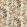 Wild Side Fabric by Mulberry Home Coral / Green