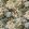 Floral Pompadour Velvet Fabric by Mulberry Home Sage