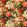 Floral Pompadour Velvet Fabric by Mulberry Home Spice