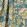 Naboyka Fabric by Ian Sanderson Sea Green