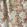 Naboyka Fabric by Ian Sanderson Terracotta