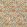 Nature Imaginaire Coton Fabric by Casal Caramel