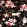 Neoflowery Wallpaper by Coordonne Black