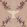 Neorococo Wallpaper by Coordonne Nude