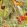 Neovegetable Wallpaper by Coordonne Autumn