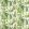 Benmore Fabric by Nina Campbell Green/Ivory