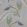 Fontibre Wallpaper by Nina Campbell Blue/Green