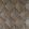Bonnelles Wallpaper by Nina Campbell BLACK/GILVER