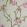 Orchard Blossom Wallpaper by Nina Campbell 1