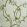 Orchard Blossom Wallpaper by Nina Campbell 5