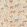 Noah's Ark Wallpaper by GP & J Baker Savannah
