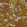 Noise Nextdoor Wallpaper by Josephine Munsey Brown