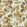 Northia Wallpaper by Clarke & Clarke Pewter/Gold