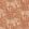 Nostalgic Evergreen Wallpaper by Eijffinger Orange/Terracotta