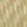 Nyala Fabric by Zoffany Gold