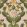 Nymphaea Wallpaper by MINDTHEGAP Light Pink