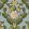 Nymphaea Wallpaper by MINDTHEGAP Powder Blue