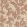 Oak Tree Tails Wallpaper by Langelid Von Bromssen Powder Tan