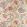 Octavie Fabric by Manuel Canovas Dragee