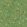 Oliveraie Wallpaper by Jannelli&Volpi Deep Green