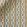 Olmo Fabric by Ian Sanderson Honeypot