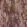 Onyx Fabric by Arley House Baked Cherry