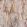 Onyx Fabric by Arley House Candy Floss
