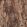 Onyx Fabric by Arley House Walnut
