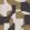 Op'art Wallpaper by Casadeco Camel / Noir