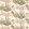 Orleans Fabric by Thibaut Apricot and Ginger