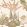 Orleans Wallpaper by Thibaut Apricot and Ginger