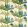 Orleans Fabric by Thibaut Yellow and Red