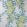 Rhodora Wallpaper by Osborne & Little Lemon / Green / Stone