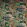Hartfield Fabric by Osborne & Little Multi