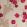 Fontette Wallpaper by Osborne & Little 1