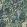 Green Wall Wallpaper by Osborne & Little 2