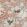 Grove Garden Wallpaper by Osborne & Little 8