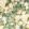 Ottavia Velvet Fabric by Romo Verdigris