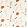 Oxalis Fabric by Scion Spice / Raffia