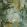 Oxidize Fabric by Arley House Sage / Gold