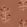 Pacific Blooming Wallpaper by Tres Tintas Red