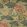 Paeonia Wallpaper by 1838 Wallcoverings Lacquer