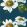 Paeonia Wallpaper by Harlequin Azurite / Meadow / Nectar