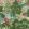 Pagoda Trees Fabric by Thibaut Coral and Green