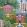 Palace Tales Wallpaper by Cole & Son Leaf Green