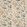 Palm Blossom Fabric by Colefax and Fowler Tomato/Teal