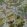 Palm Grove Wallpaper by Josephine Munsey Dusk and Verdigris